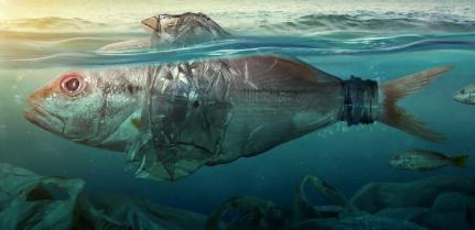 Plastics Kill our fish life